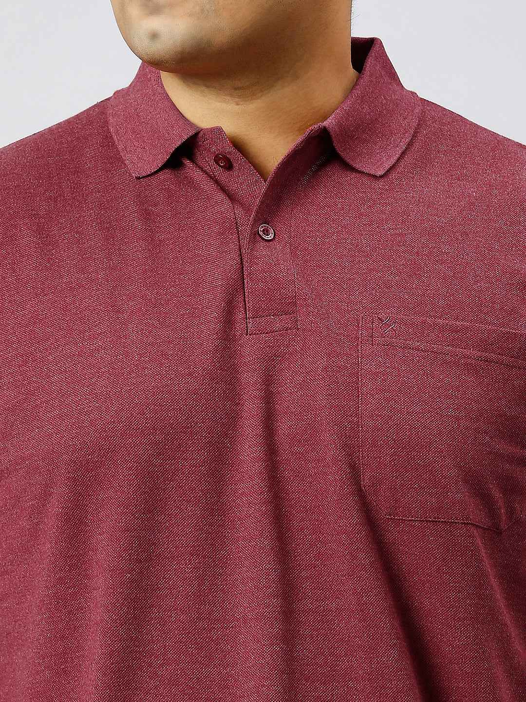 Plus Size Solid Plum Polo T-shirt With Pocket