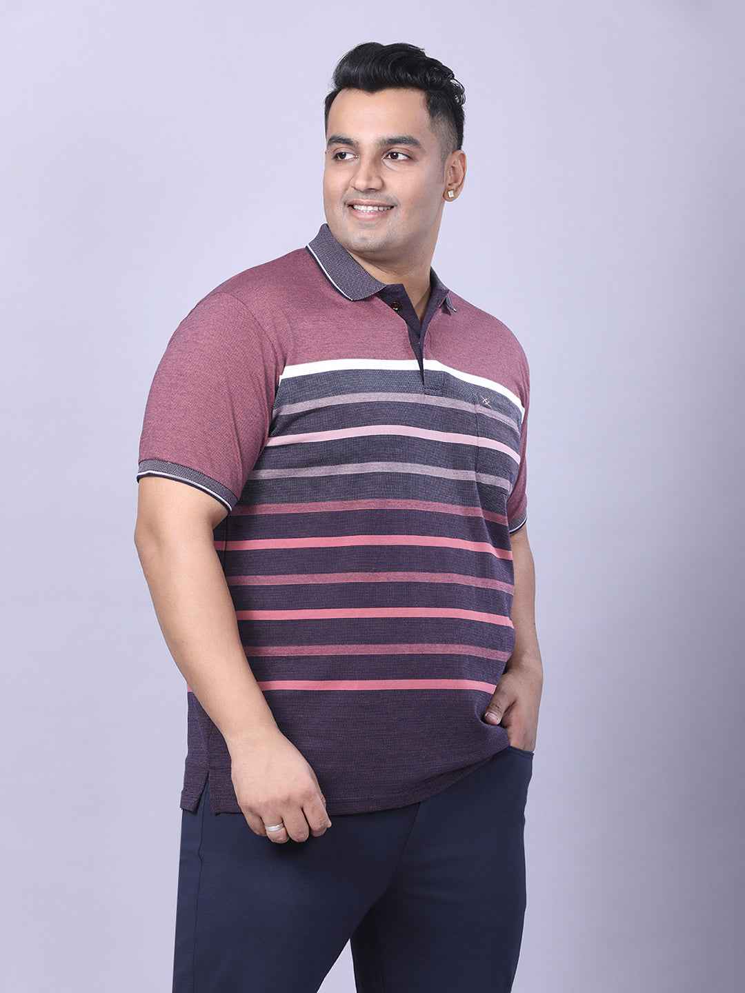 Men’s Plus Size Plum Striped T-shirt