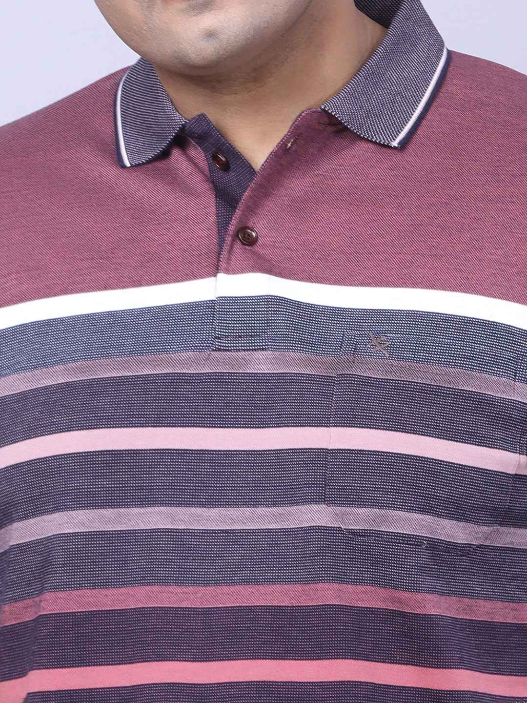 Men’s Plus Size Plum Striped T-shirt