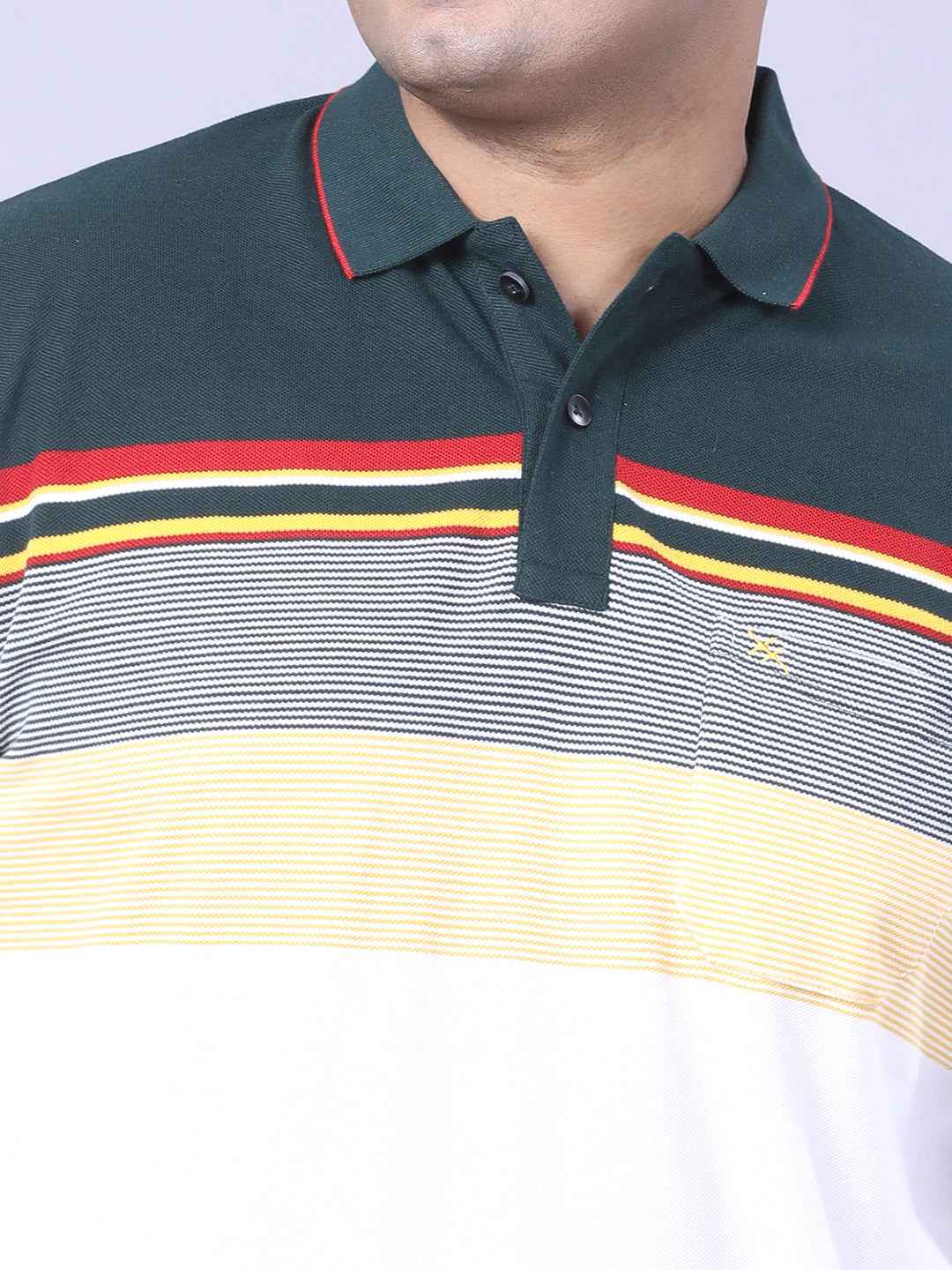 Men’s Plus Size Green Striped T-shirt