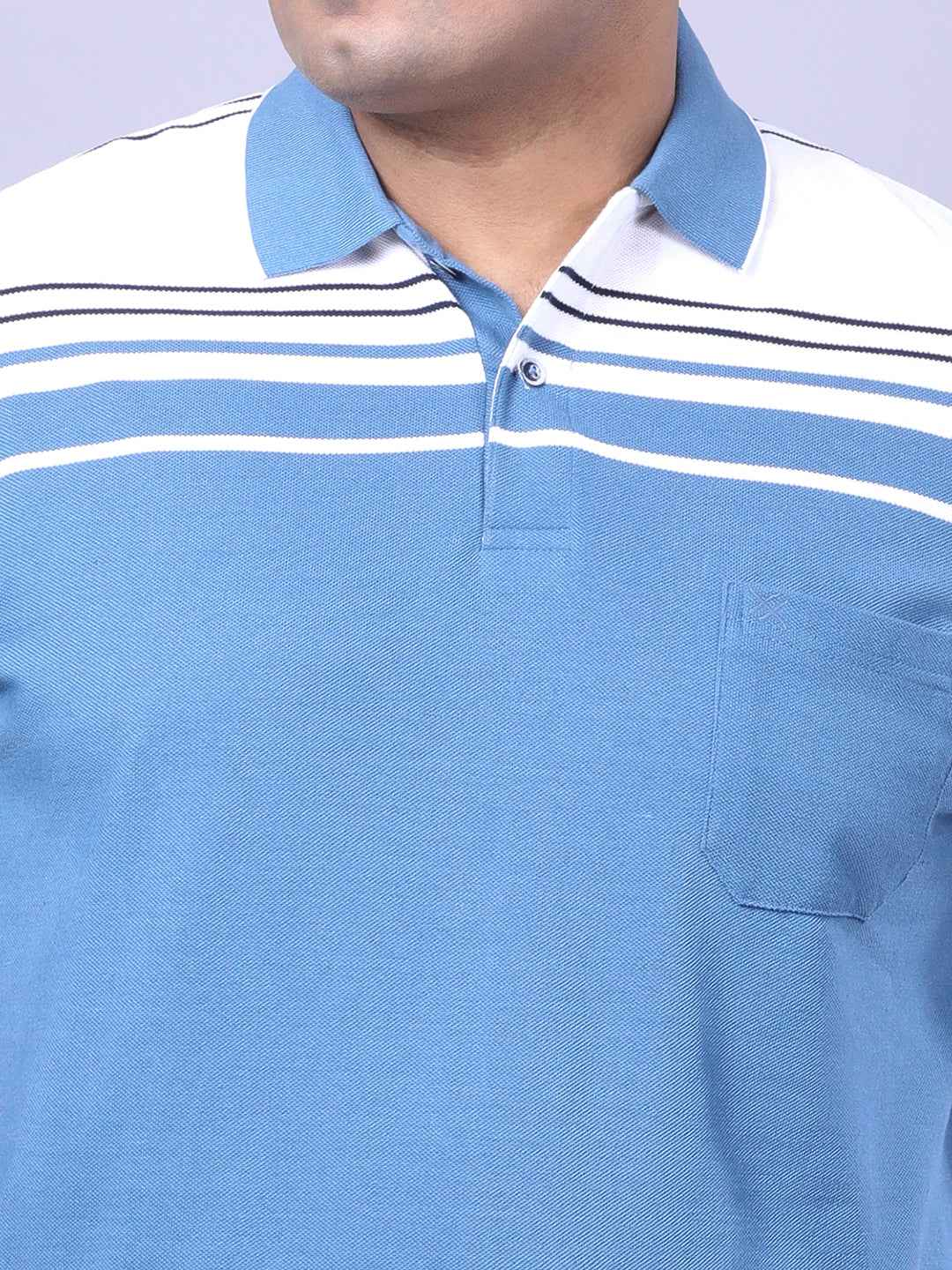Men’s Plus Size Blue Striped T-shirt